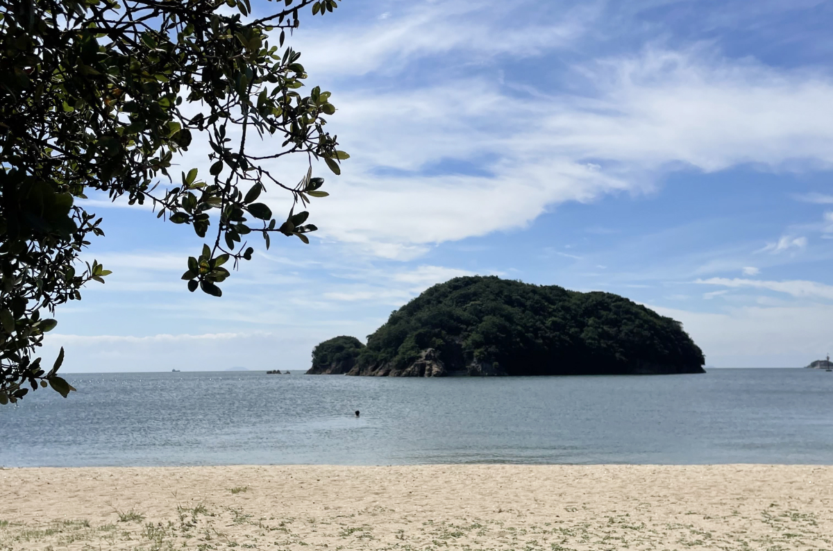 最高の海