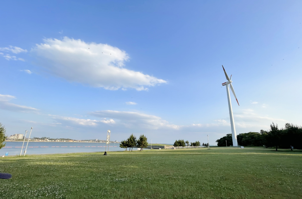 公園ヨガ
